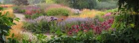 Five Seasons: The Gardens of Piet Oudolf