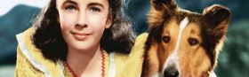 Lassie Come Home