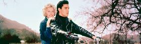 Roustabout