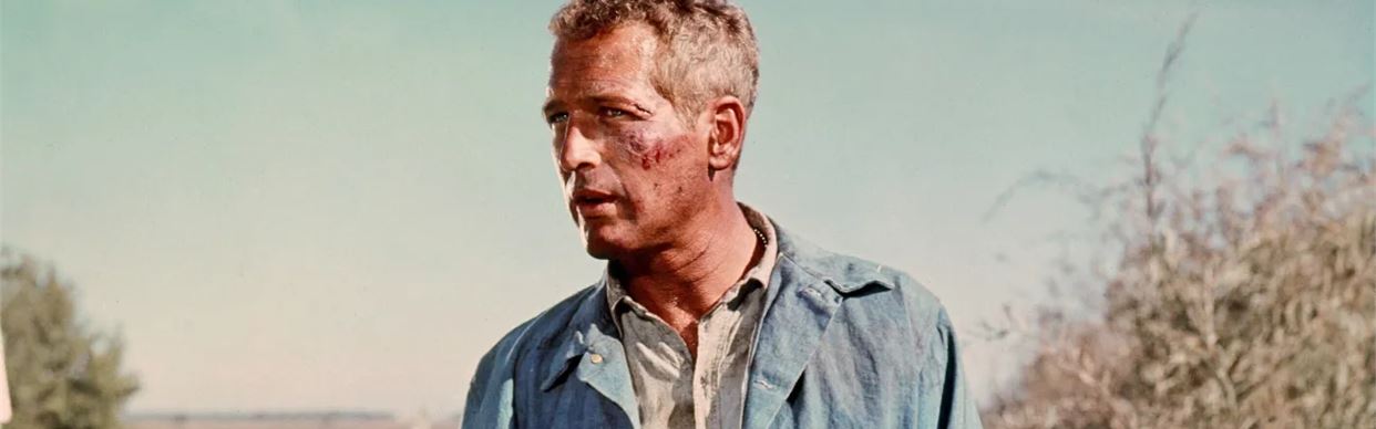 COOL HAND LUKE