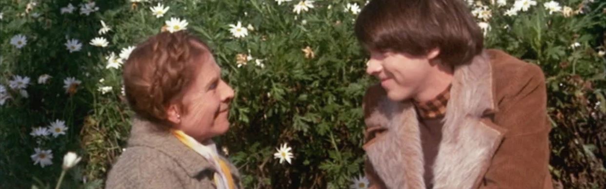Harold and Maude