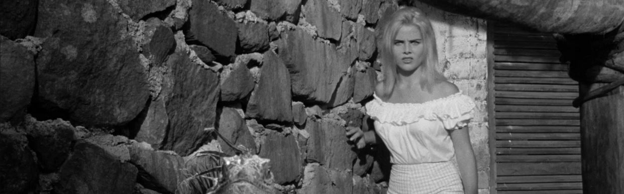 The Night of the Iguana