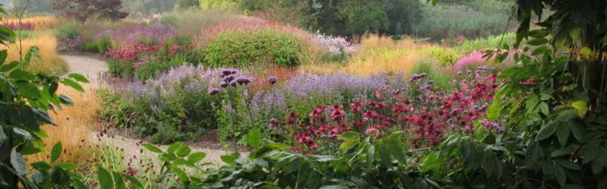 Five Seasons: The Gardens of Piet Oudolf