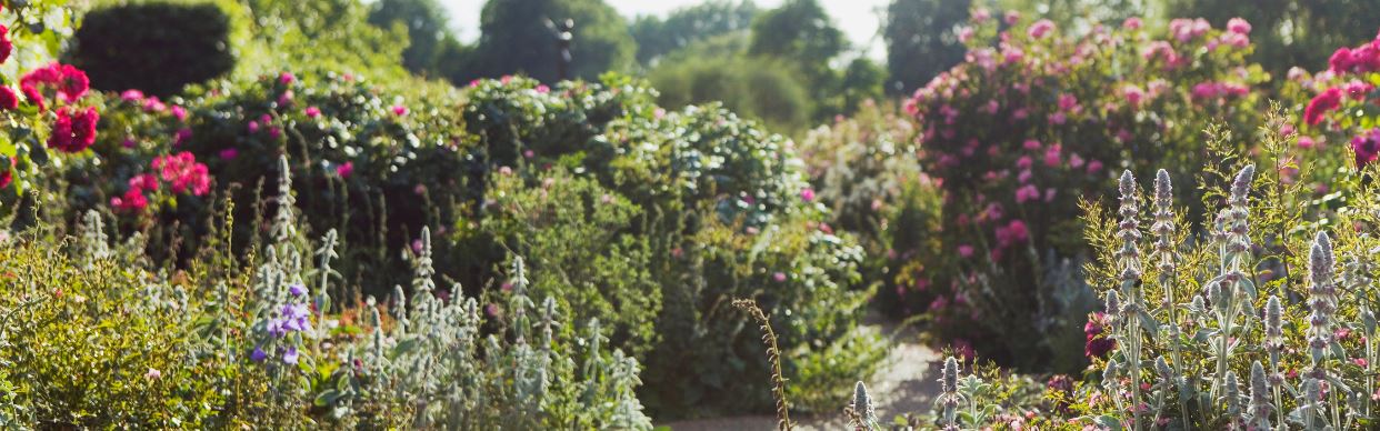 Five Seasons: The Gardens of Piet Oudolf