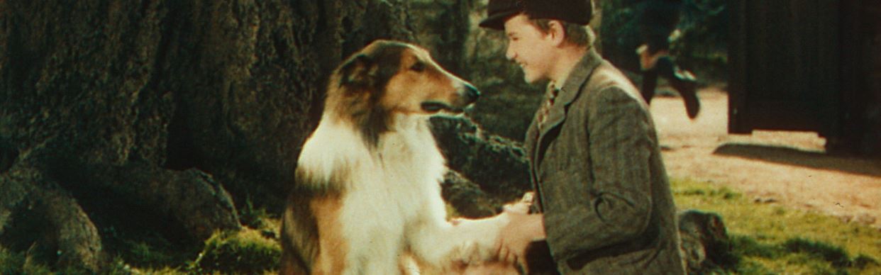 Lassie Come Home