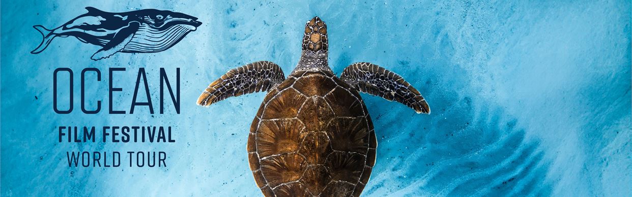 Ocean Film Festival World Tour