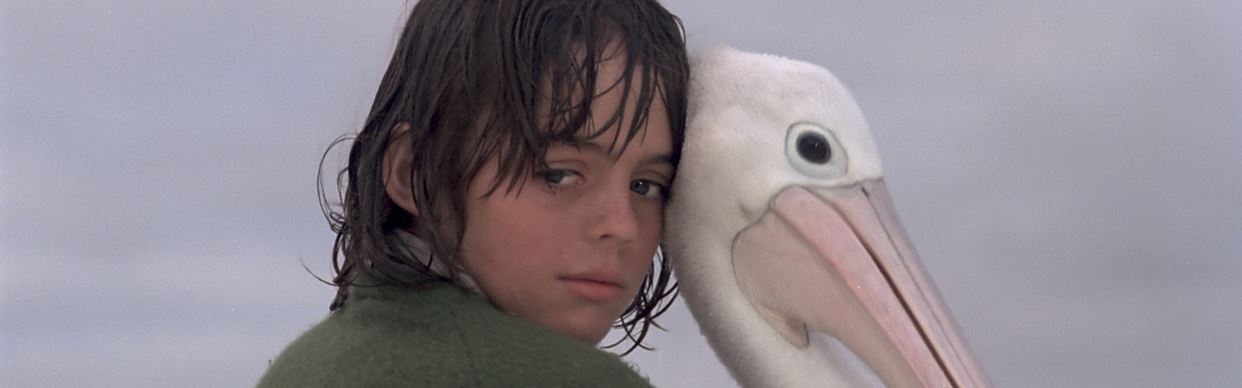 NFSA Restores: Storm Boy