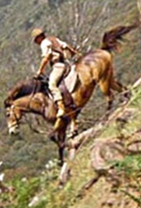THE MAN FROM SNOWY RIVER